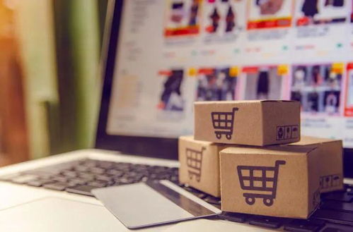 舍弗勒汽车售后供应链与大数据 驱动电子产品销售的无间融合